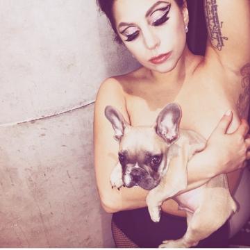 Lady Gaga naked with her dog