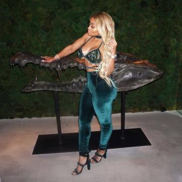 blac-chyna-hot-picture-28