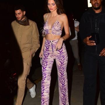 kendall-jenner-goes-naked-236